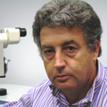 Dr. Miguel J. March Balle. Oftalmólogos en Palma de Mallorca