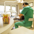 Roberto Lorenzo Hernando. Dentistas en Zaragoza